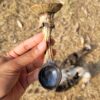 Spooky Action Mushroom Spoon