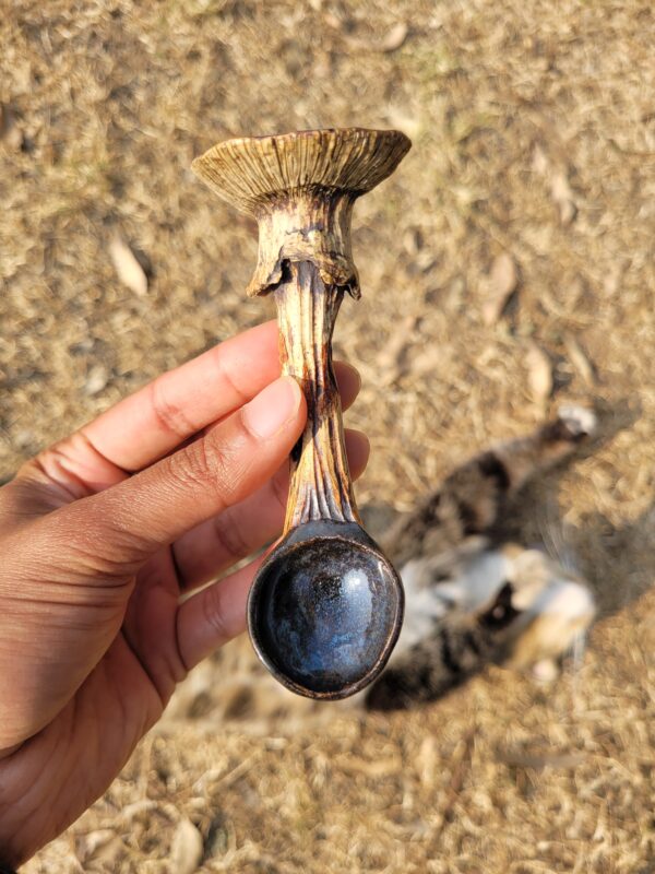 Spooky Action Mushroom Spoon