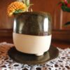 Half and Half Squareish Planter