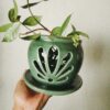 Bloomer Orchid Pot