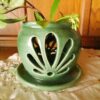 Bloomer Orchid Pot