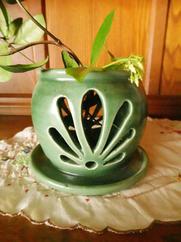 Bloomer Orchid Pot