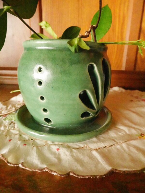 Bloomer Orchid Pot