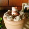 Cat Cake Jar Marmalade