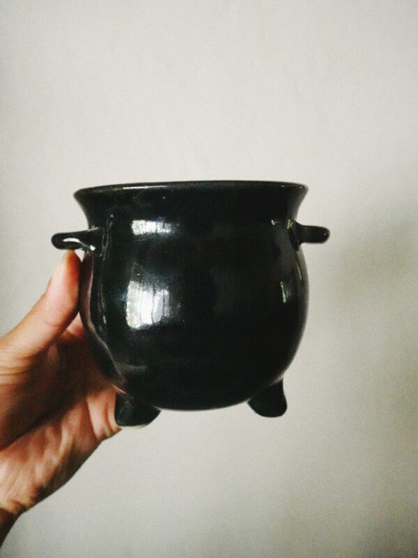 Cauldron Tumbler with a Story
