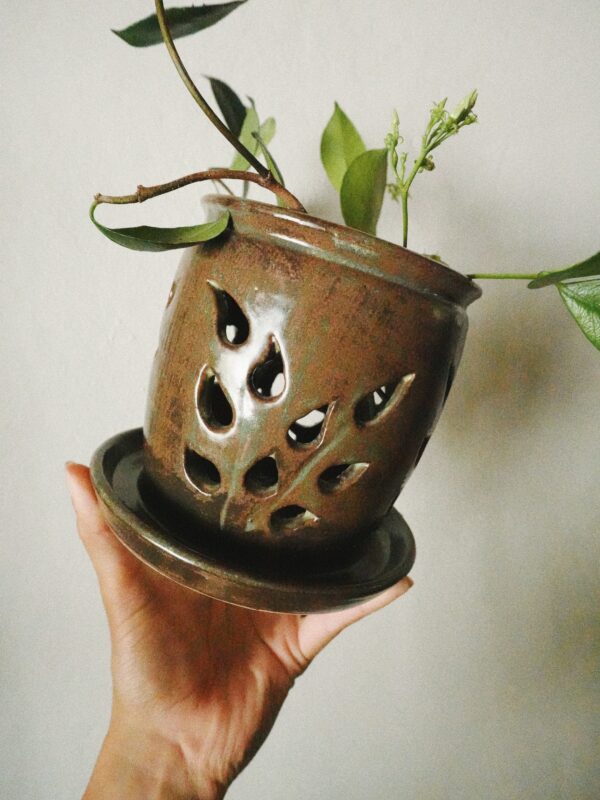 Processed with VSCO with a8 preset Frond Orchid Pot