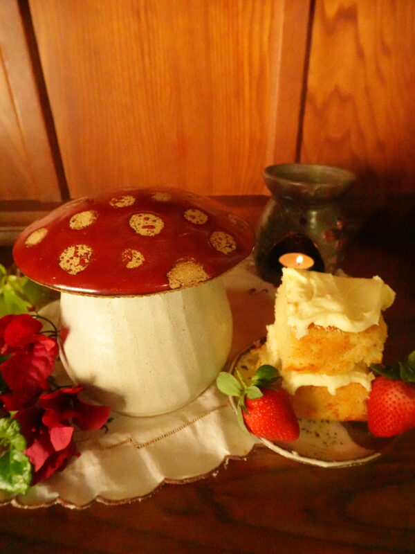 mushroom jar amanita Mushroom Jar Amanita