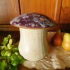 Mushroom Jar Violetcap