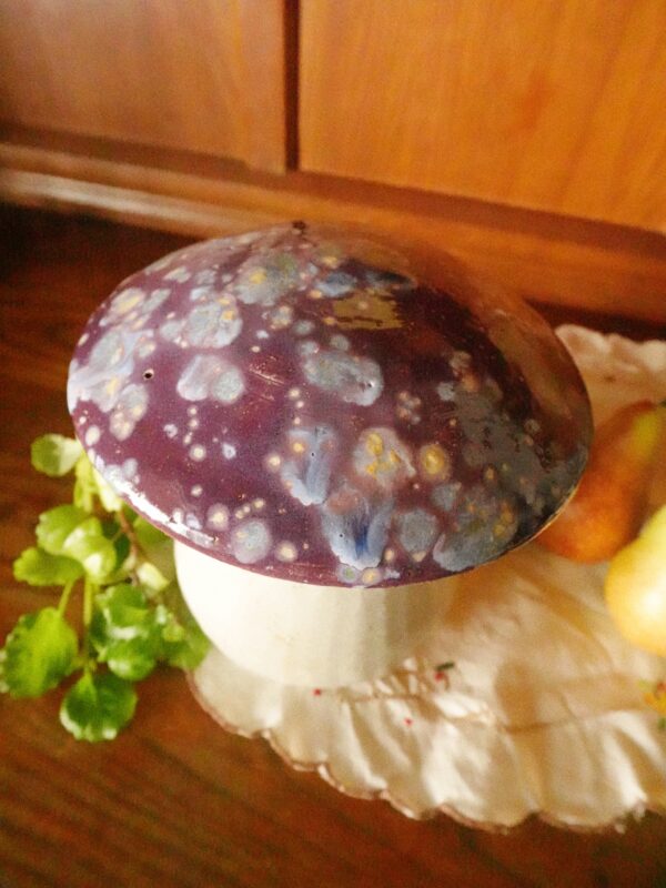 Mushroom Jar Violetcap