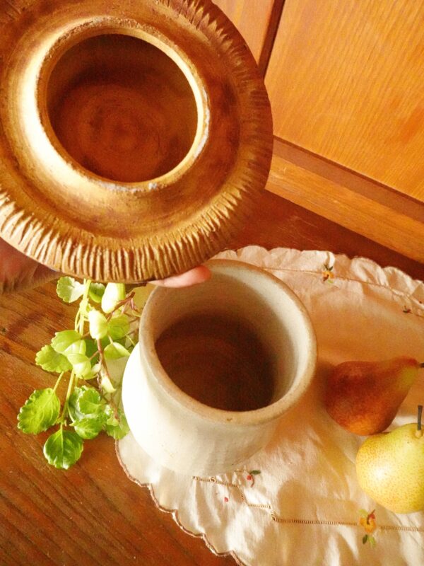 Mushroom Jar Violetcap