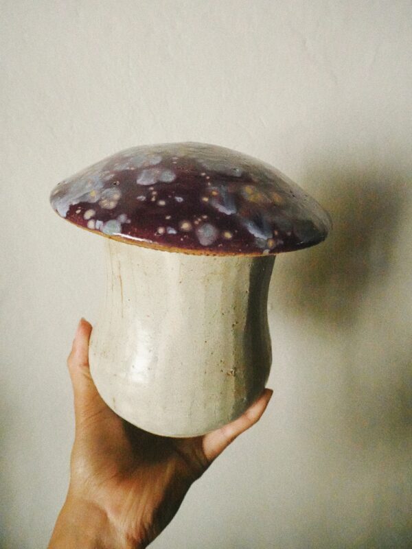 Mushroom Jar Violetcap