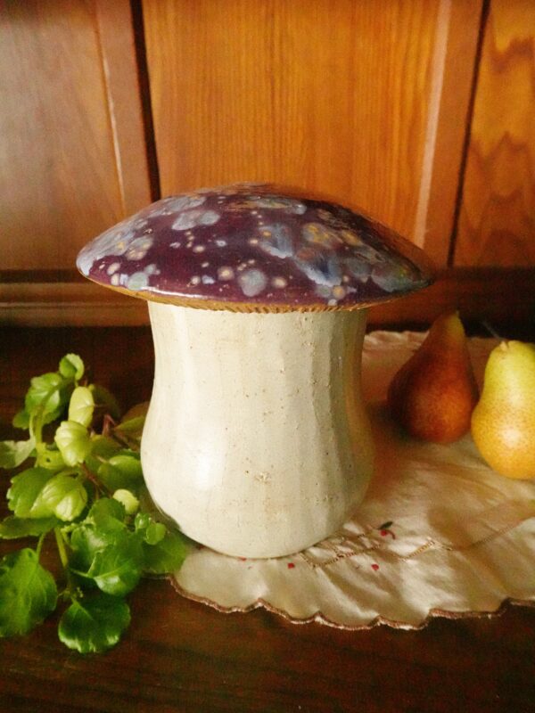 Processed with VSCO with al5 preset Mushroom Jar Violetcap