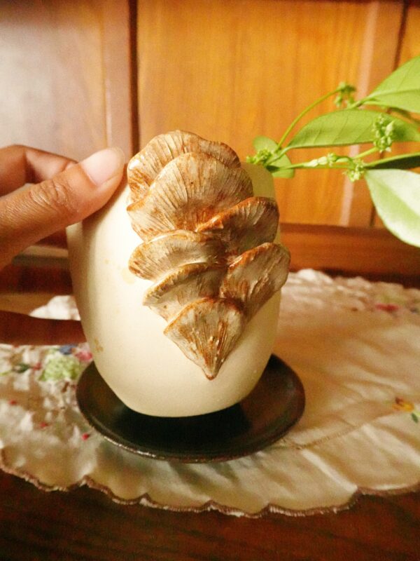 Oyster Mushroom Planter