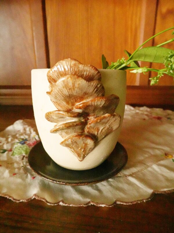 Oyster Mushroom Planter