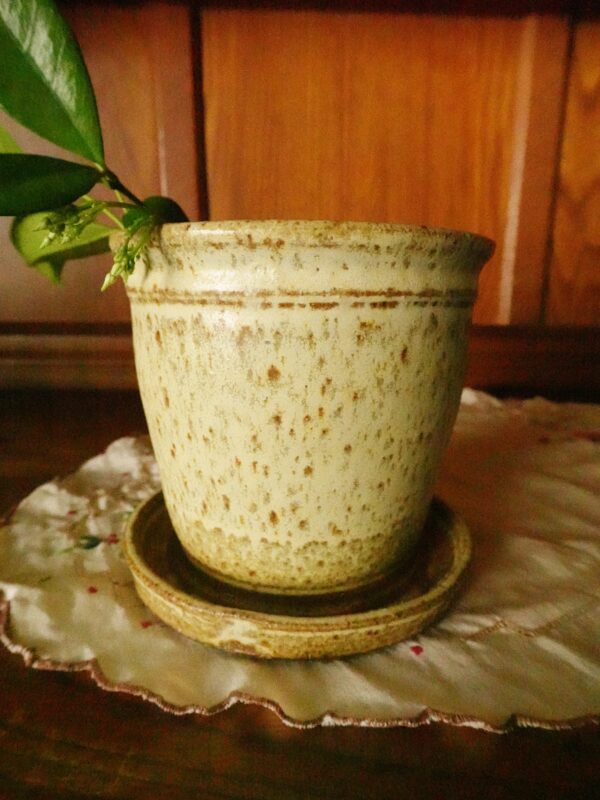 Signature Orchard Planter