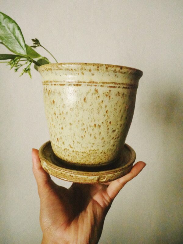 Processed with VSCO with a8 preset Signature Orchard Planter