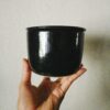 Treacle Butter Keeper